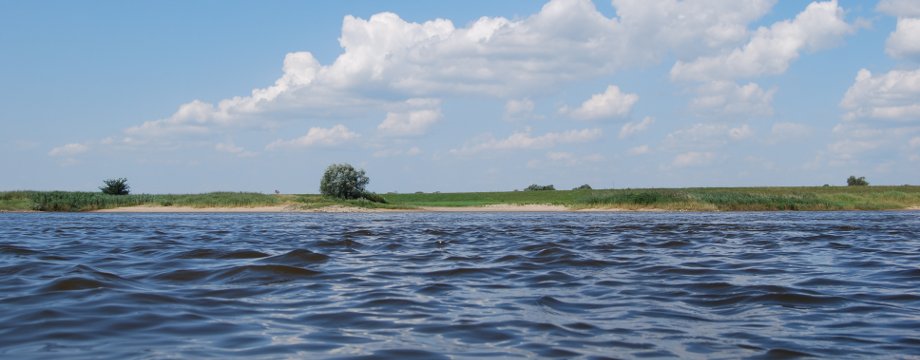 Urlaubsregion Höhbeck Elbe - Titelbild: Wellengang auf der Elbe, blauer Himmel, im Hintergrund die Buhnen der gegenüberliegenden Elbseite.